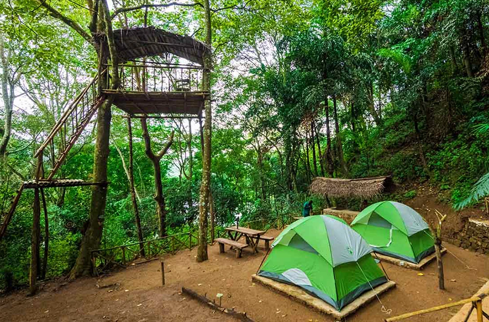do-vacation-camping-gal-1