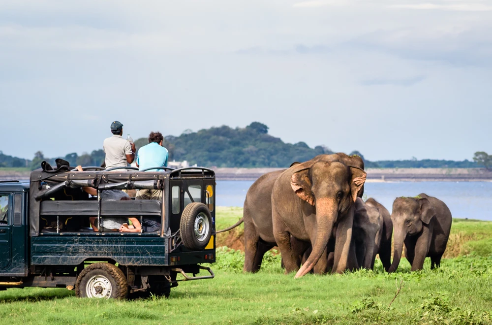 do-vacation-safaris-gal-1