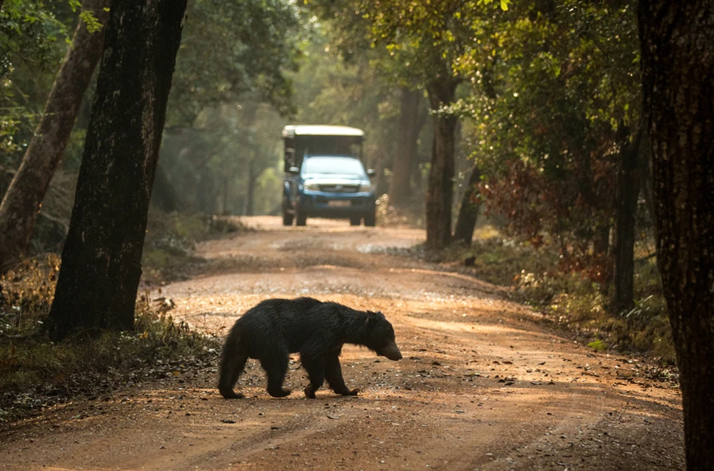 do-vacation-safaris-gal-5